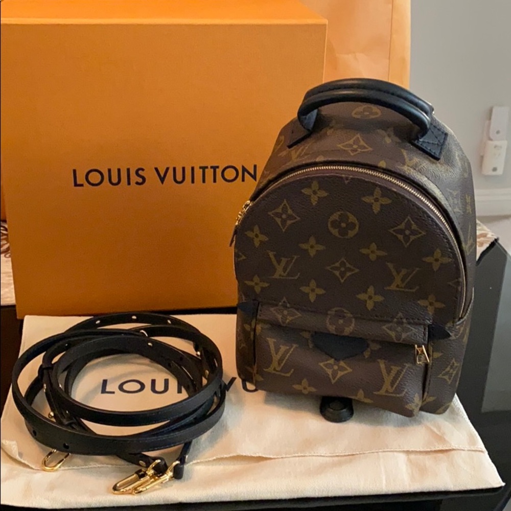 Louis Vuitton Palm Springs Mini 2020 Edition